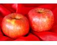 Fruits