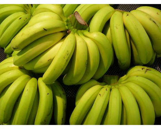 Malaysia Pisang Berangan (Ang Bak Jio)