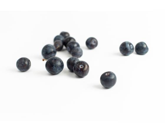 Turkyie Blueberry