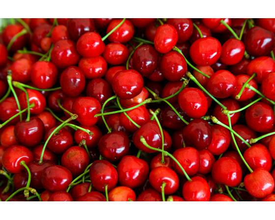 Argentina Cherry