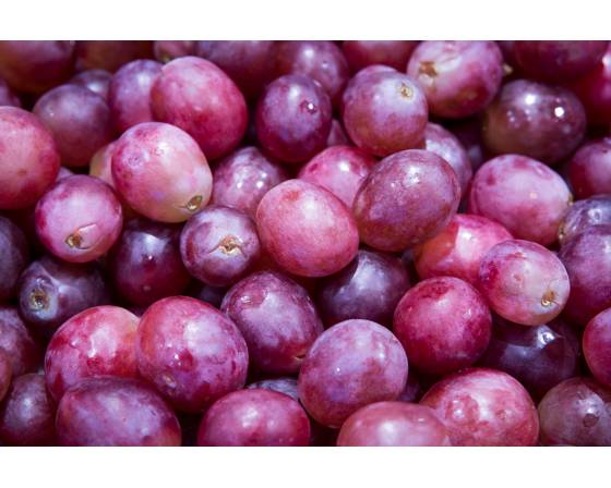 Australia Scarlet Royal Seedless Grapes