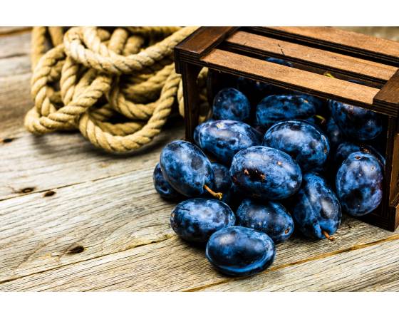 Australia Sweet Sapphire Grapes