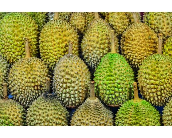 Johor Black Pearl Durian