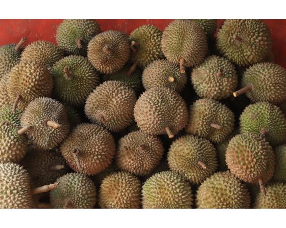 Pahang Black Gold Durian