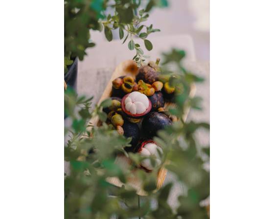 Thailand Mangosteen