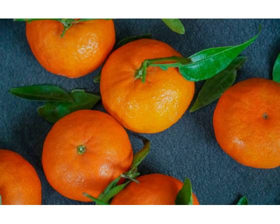 China Jiao Gan Mandarin Orange