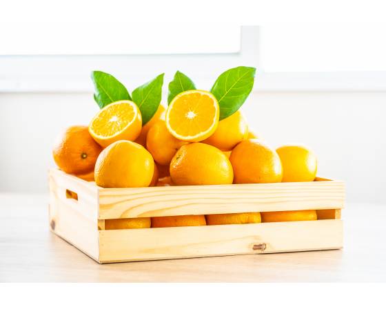 South Africa Midknight Orange
