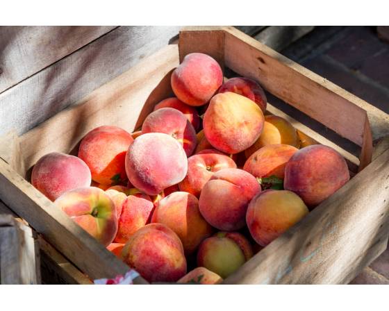 China Shui Mi Tao Peach