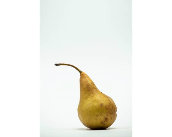 China Ya Li Pear