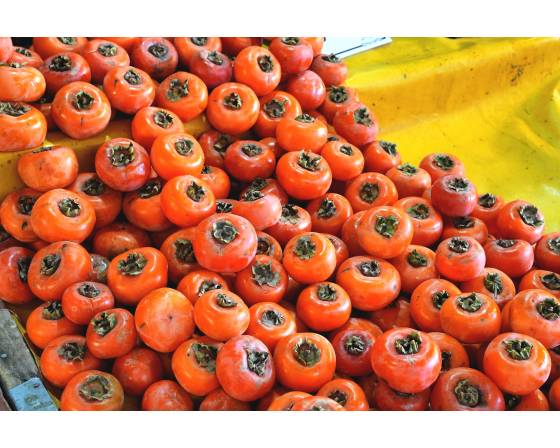 Korea Persimmon