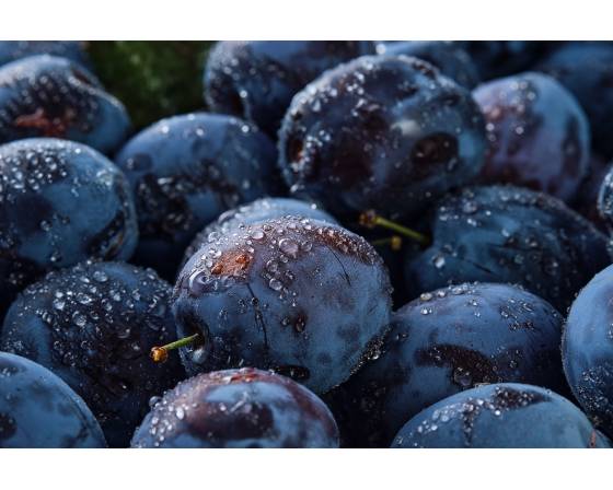 China Black Plum