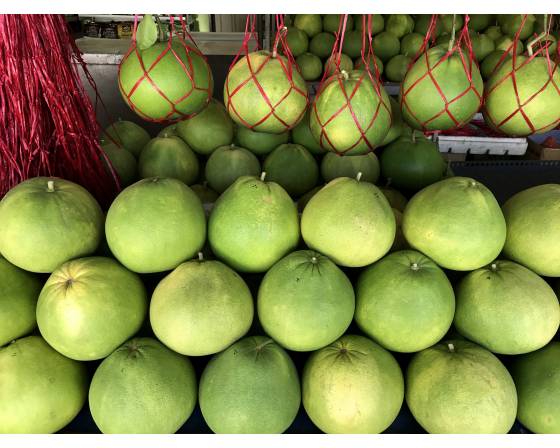 Taiwan Pomelo