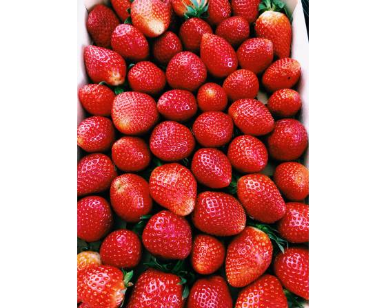 Korea Strawberry