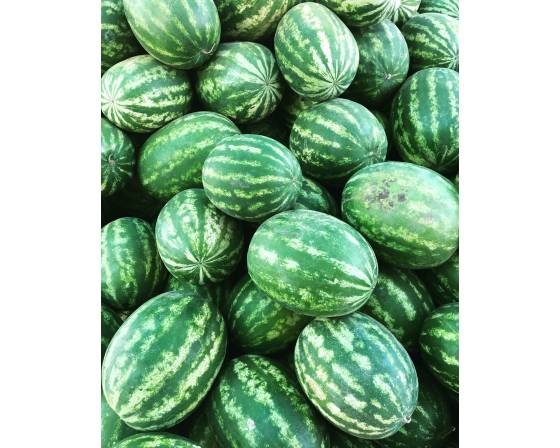 Thailand Red Watermelon